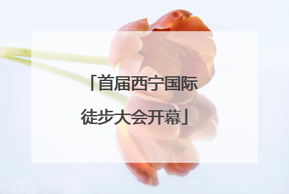 首届西宁国际徒步大会开幕