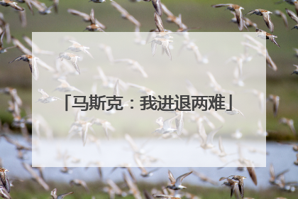 马斯克：我进退两难