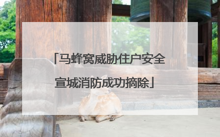 马蜂窝威胁住户安全 宣城消防成功摘除