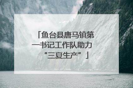 鱼台县唐马镇第一书记工作队助力“三夏生产”