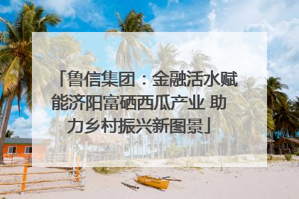鲁信集团：金融活水赋能济阳富硒西瓜产业 助力乡村振兴新图景