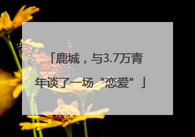 鹿城，与3.7万青年谈了一场“恋爱”