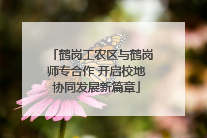 鹤岗工农区与鹤岗师专合作 开启校地协同发展新篇章