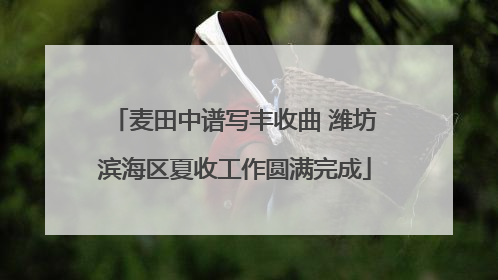 麦田中谱写丰收曲 潍坊滨海区夏收工作圆满完成