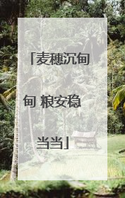 麦穗沉甸甸 粮安稳当当