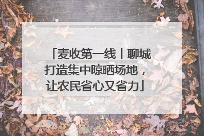 麦收第一线丨聊城打造集中晾晒场地，让农民省心又省力