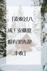 麦收过八成！安徽夏粮有望再迎丰收