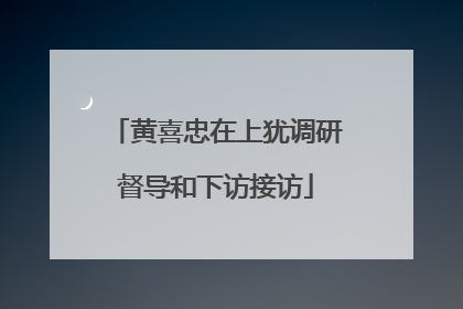 黄喜忠在上犹调研督导和下访接访