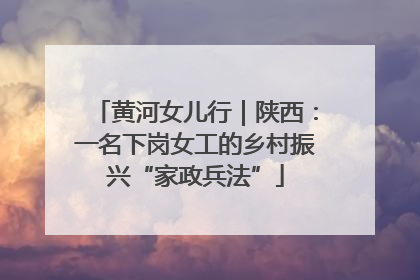 黄河女儿行｜陕西：一名下岗女工的乡村振兴“家政兵法”