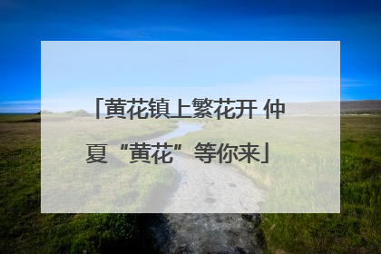 黄花镇上繁花开 仲夏“黄花”等你来