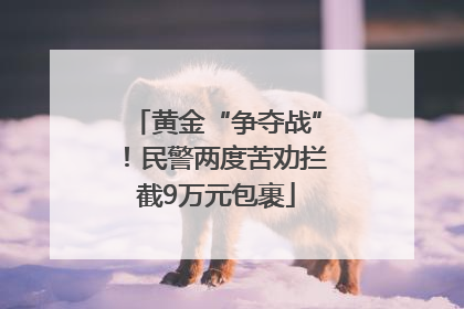 黄金“争夺战”！民警两度苦劝拦截9万元包裹
