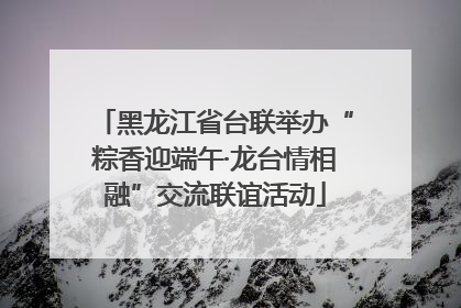 黑龙江省台联举办“粽香迎端午·龙台情相融”交流联谊活动