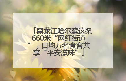黑龙江哈尔滨这条660米“网红街道”，日均万名食客共享“平安滋味”