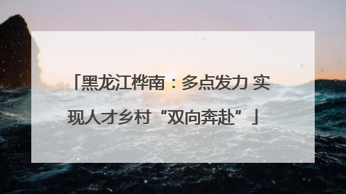 黑龙江桦南：多点发力 实现人才乡村“双向奔赴”