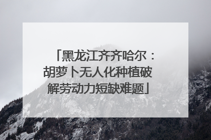 黑龙江齐齐哈尔：胡萝卜无人化种植破解劳动力短缺难题