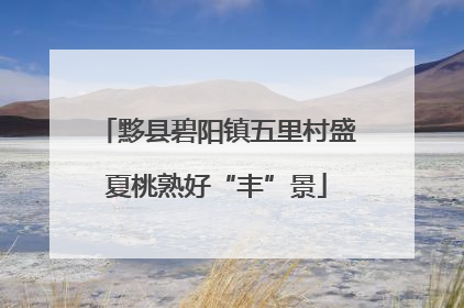 黟县碧阳镇五里村盛夏桃熟好“丰”景