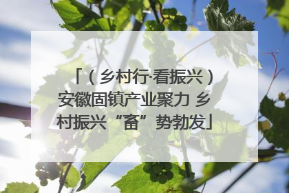 （乡村行·看振兴）安徽固镇产业聚力 乡村振兴“畜”势勃发