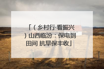 （乡村行·看振兴）山西临汾：保电到田间 抗旱保丰收