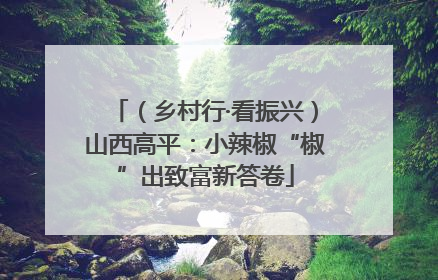 （乡村行·看振兴）山西高平：小辣椒“椒”出致富新答卷