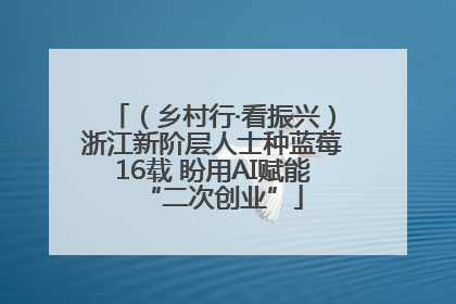 （乡村行·看振兴）浙江新阶层人士种蓝莓16载 盼用AI赋能“二次创业”