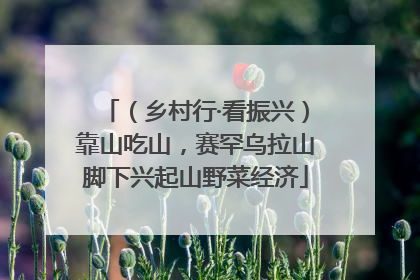 （乡村行·看振兴）靠山吃山，赛罕乌拉山脚下兴起山野菜经济