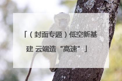 （封面专题）低空新基建 云端造“高速”