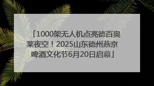 1000架无人机点亮德百奥莱夜空！2025山东德州燕京啤酒文化节6月20日启幕