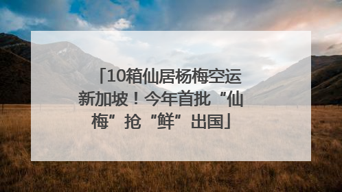 10箱仙居杨梅空运新加坡！今年首批“仙梅”抢“鲜”出国