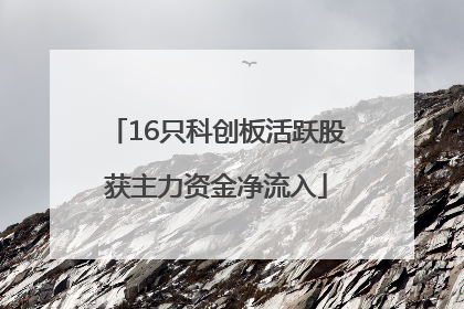 16只科创板活跃股获主力资金净流入