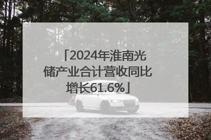 2024年淮南光储产业合计营收同比增长61.6%