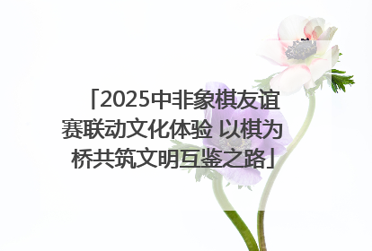 2025中非象棋友谊赛联动文化体验 以棋为桥共筑文明互鉴之路