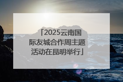 2025云南国际友城合作周主题活动在昆明举行