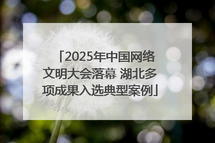 2025年中国网络文明大会落幕 湖北多项成果入选典型案例