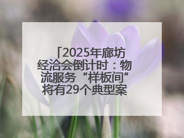 2025年廊坊经洽会倒计时：物流服务“样板间”将有29个典型案例呈现