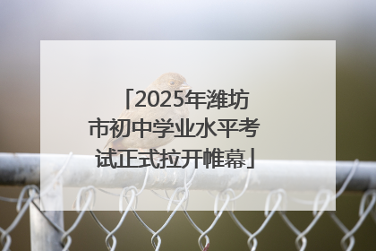2025年潍坊市初中学业水平考试正式拉开帷幕