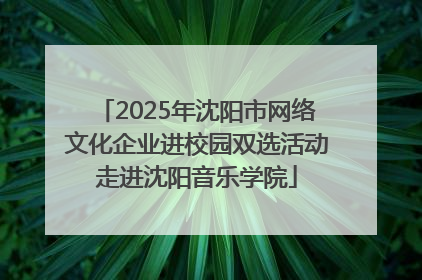 2025年沈阳市网络文化企业进校园双选活动走进沈阳音乐学院