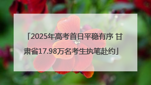 2025年高考首日平稳有序 甘肃省17.98万名考生执笔赴约