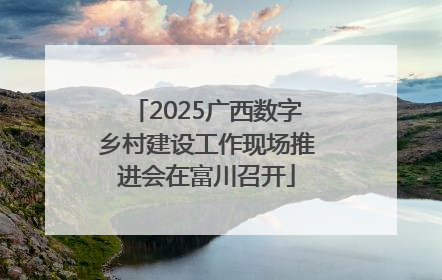 2025广西数字乡村建设工作现场推进会在富川召开
