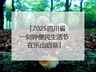 2025四川省一刻钟便民生活节在乐山启幕