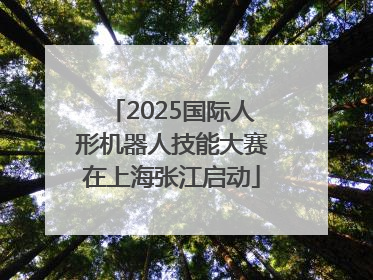 2025国际人形机器人技能大赛在上海张江启动