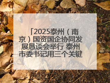 2025泰州（南京）国资国企协同发展恳谈会举行 泰州市委书记用三个关键词推介泰州