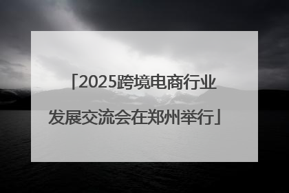 2025跨境电商行业发展交流会在郑州举行