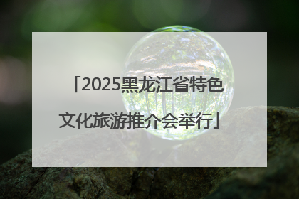 2025黑龙江省特色文化旅游推介会举行
