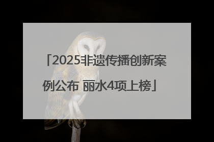 2025非遗传播创新案例公布 丽水4项上榜