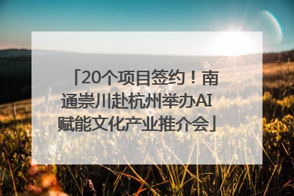 20个项目签约！南通崇川赴杭州举办AI赋能文化产业推介会