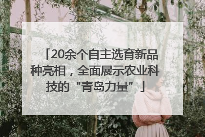 20余个自主选育新品种亮相，全面展示农业科技的“青岛力量”