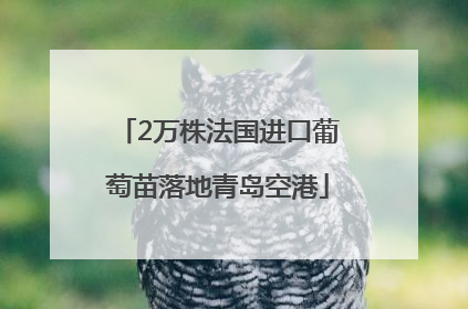 2万株法国进口葡萄苗落地青岛空港