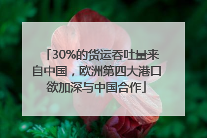 30%的货运吞吐量来自中国，欧洲第四大港口欲加深与中国合作