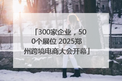300家企业，500个展位 2025郑州跨境电商大会开幕