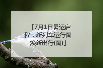 7月1日暑运启程，新列车运行图焕新出行(图)